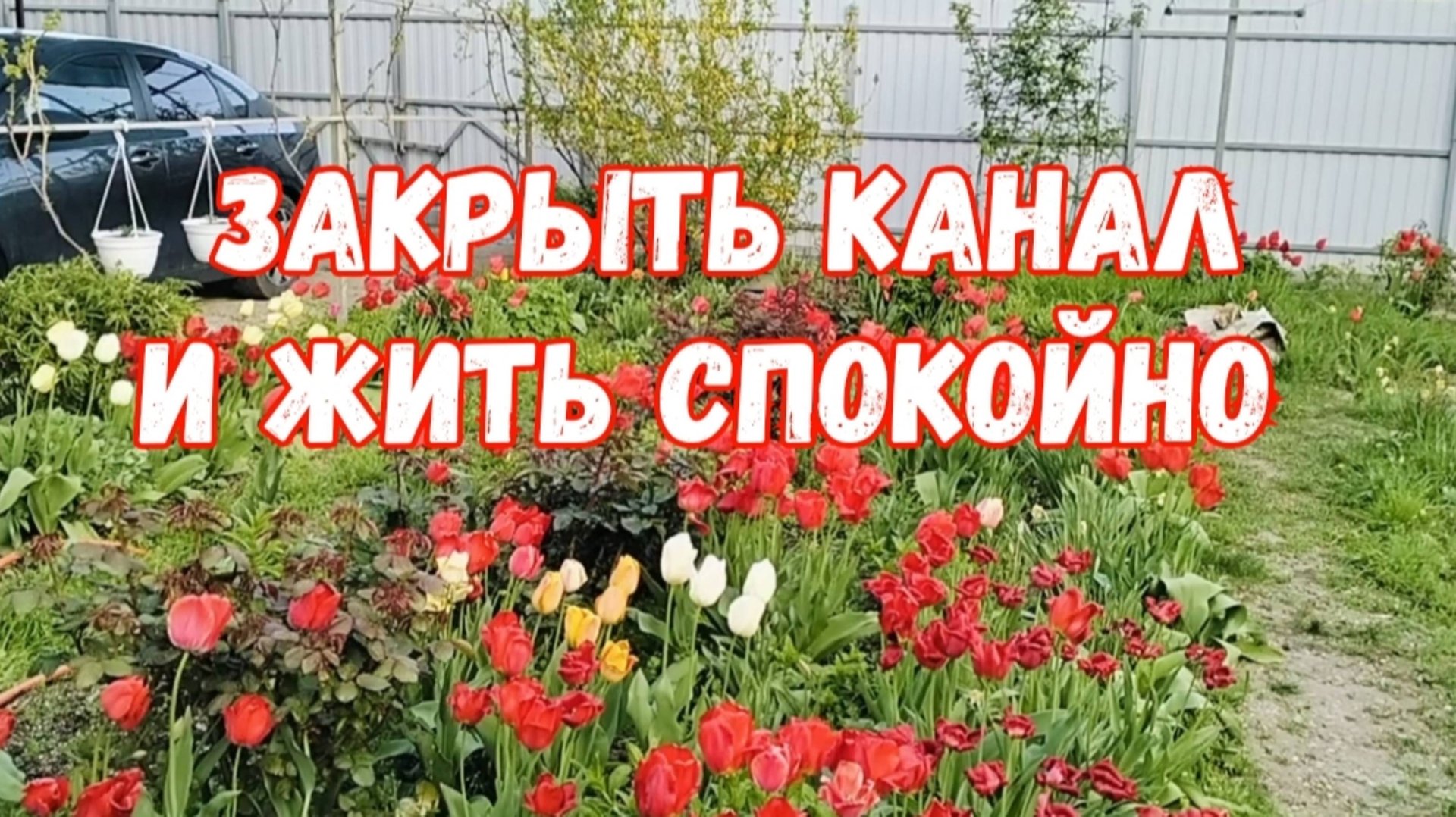 #8🌷Пенсию заработала/Могу работать на себя смотреть онлайн