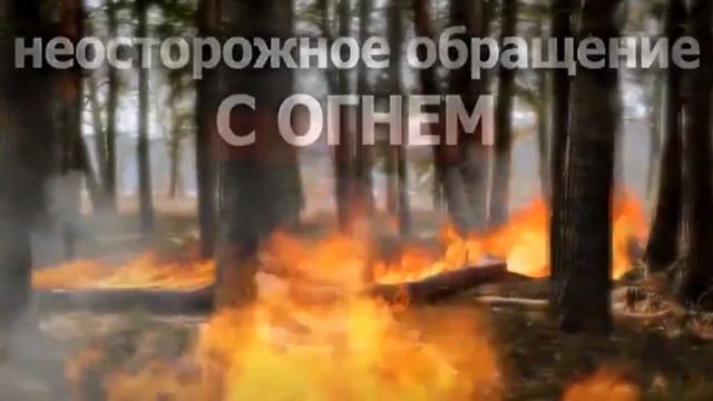 Главная причина природных пожаров смотреть онлайн