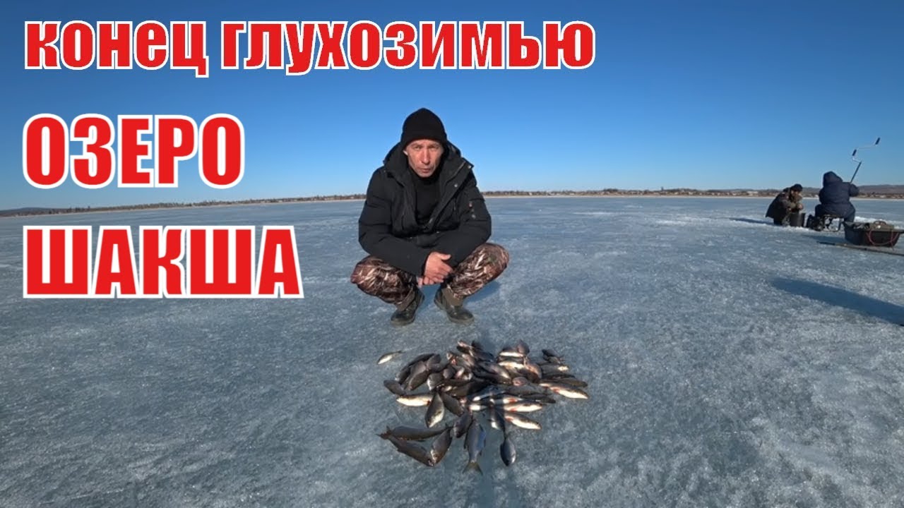 Рыбалка в Забайкалье на озере Шакша. смотреть онлайн