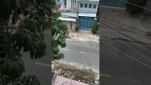 Прямой эфир из Вьетнама, Хошимин. 25 августа 2021 Карантин, Изоляция смотреть онлайн