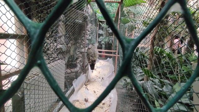 Сентябрь в Гомеле. смотреть онлайн