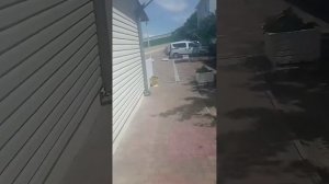 Кирилловка Горизонт. Спасаемся в бассейне от жары.