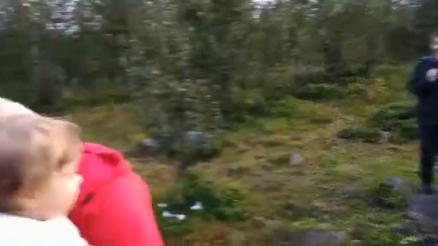 Группа деревяшки на отдыхе смотреть онлайн