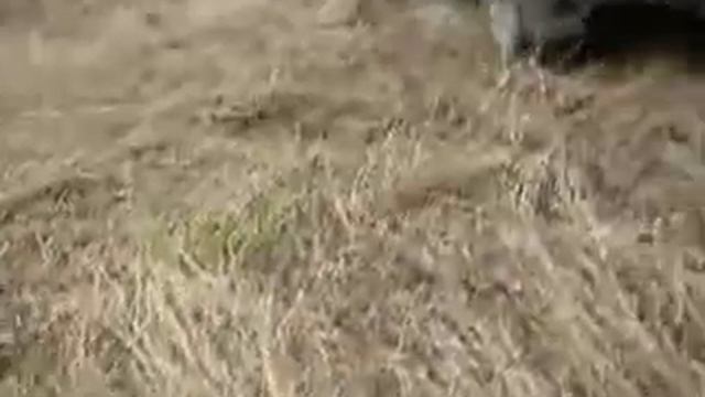 Мы не ищем легкий путей - едем на спасение уаза смотреть онлайн