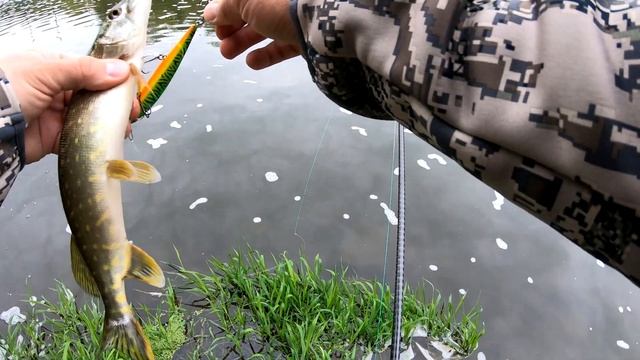 Сломал мульт Shimano Metanium DC В поисках щуки на р Пахре 2023г смотреть онлайн