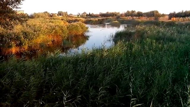 рыббаза.водокачка.новофедоровка.крым.15.09.2015. смотреть онлайн