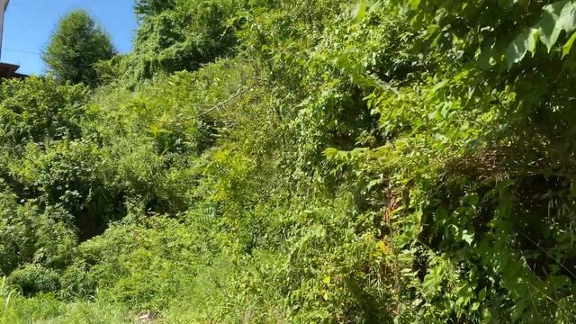 Продаю земельный участок в Сочи. Звоните, буду рада показать в самое ближайшее время. смотреть онлайн