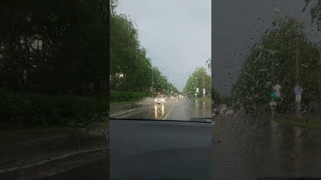 Потоп в Академе 29.06.18 смотреть онлайн
