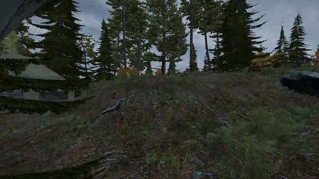 Еще палатки DayZ ZoS 2017 07 31 21 15 22 985 смотреть онлайн