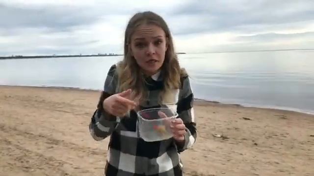 Типы девушек на природе смотреть онлайн