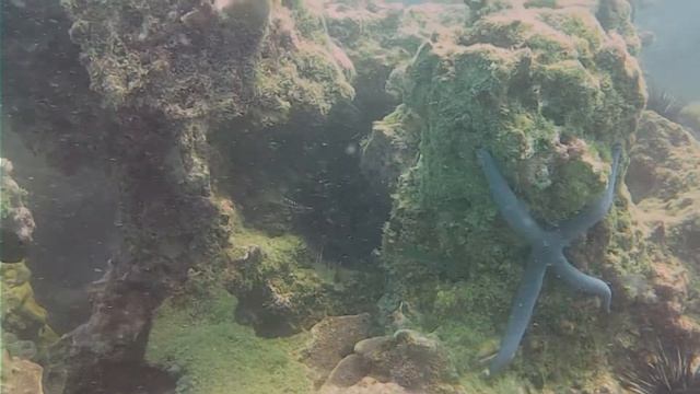 Yanui Beach Diving - Phuket Thailand - February 2021 смотреть онлайн