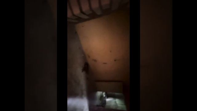 пионерский лагерь ЛЕСНЫЕ ДАЛИ (САМЫЙ ЖУТКИЙ в моем списке)🫣 смотреть онлайн