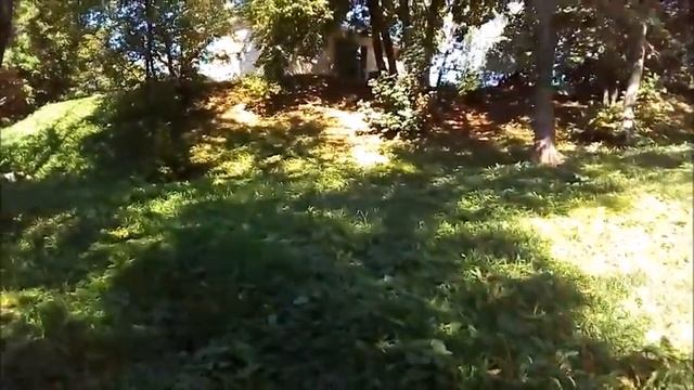 Парк динозавров!!!Котельнич Кировская область Сентябрь 2020г смотреть онлайн