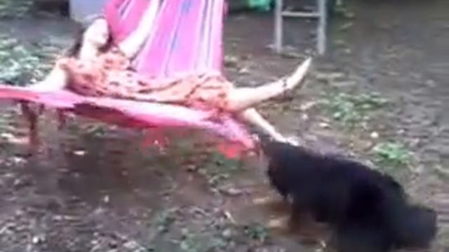приятный отдых в гамаке смотреть онлайн