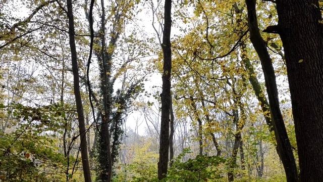 Небольшая нарезка спонтанных кадров в Германии в ожидании нового видео. смотреть онлайн