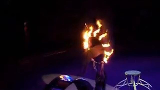 Малыш о цирке "Сафари" смотреть онлайн