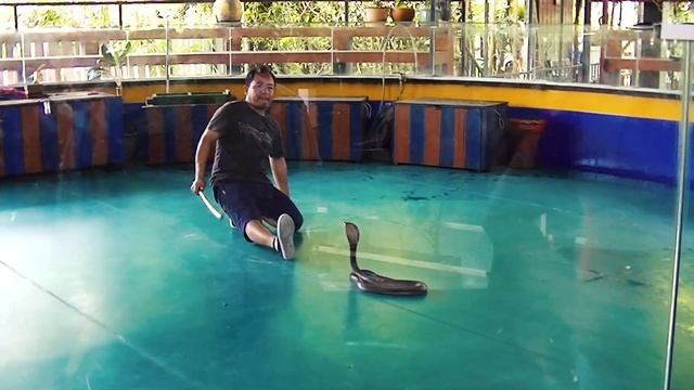 Дима и Марина Таиланд 2018 смотреть онлайн