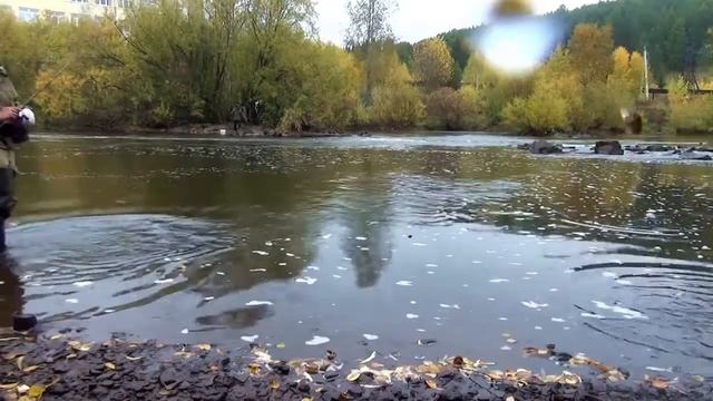 Ловля щуки. Ловили окуня, а поймали гигантскую щуку на ультралайт смотреть онлайн
