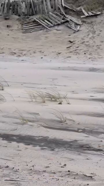 Самый красивый город России #калининград #курсшкаякоса смотреть онлайн