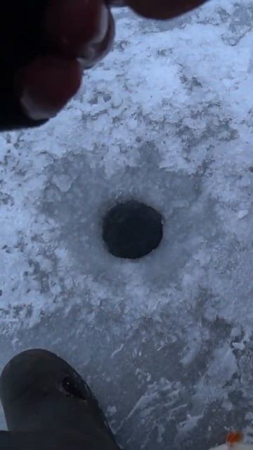 #Shorts #рыбалка #fishing #рыба #fish #природа #nature #отдых #путешествия #rest #Siberia #Сибирь смотреть онлайн