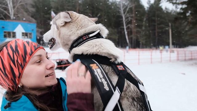 Шлеки и снаряжение для ездовго спорта NonStop смотреть онлайн