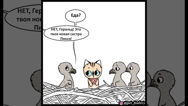 Пикси и Брут №42 #комикс #кот #собака смотреть онлайн