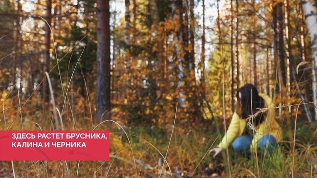 «ДаУР»: Фильм по итогам уникального туристистического проекта смотреть онлайн