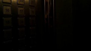 Музыкальные лифты ЩЛЗ (СПб) v=1,4 м/с Q=630 кг