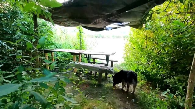 Славянск. 22 августа 2024г. Вечер. смотреть онлайн