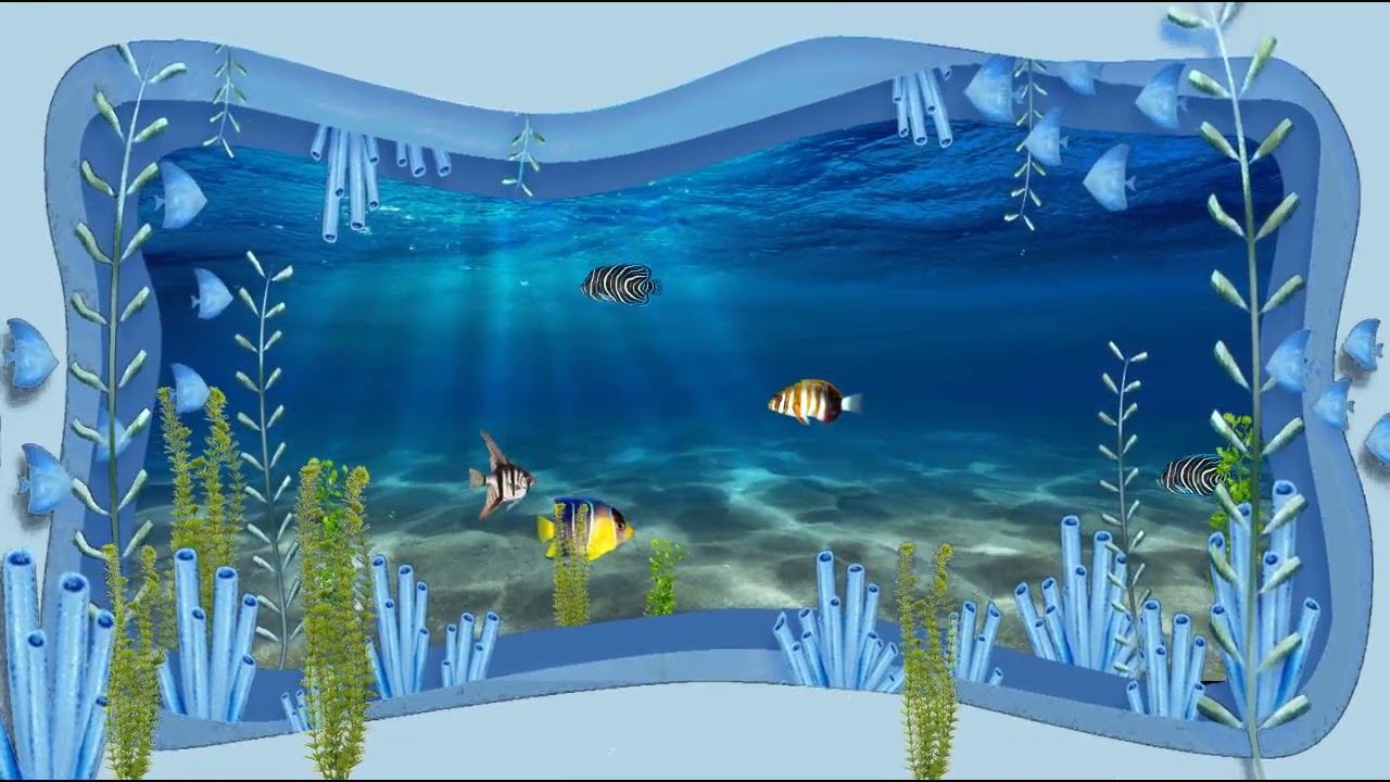 Футаж Подводный мир Background Underwater World