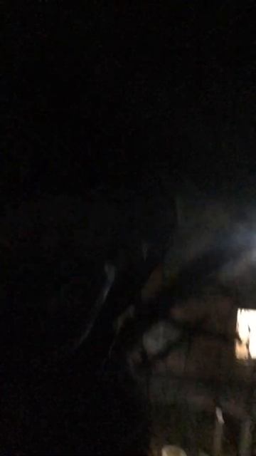 Вечер крыша смотреть онлайн