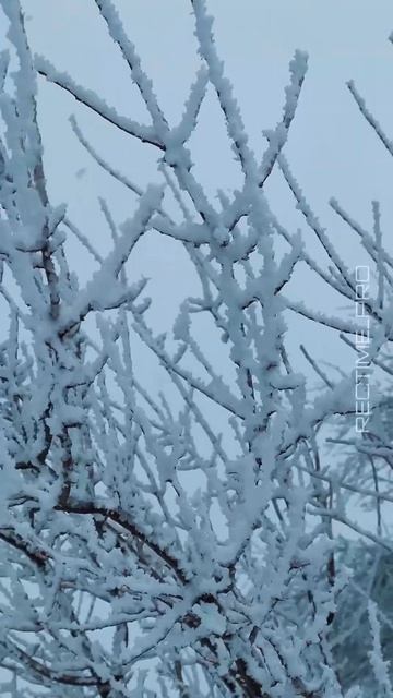 Казбековский район смотреть онлайн