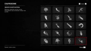 Библиотека RDR 2.  Перечень всего снаряжения.
