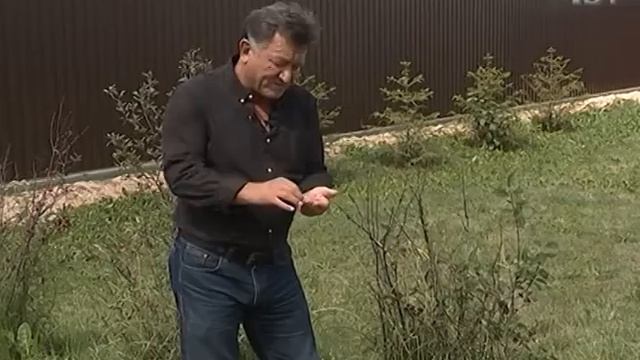 «Звездные грядки» актёра Анатолия Длусского смотреть онлайн