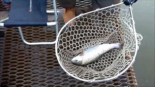 Форелька просыпаетя. Клёвое место. смотреть онлайн