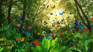 Футаж. Волшебный лес. Background Magical forest