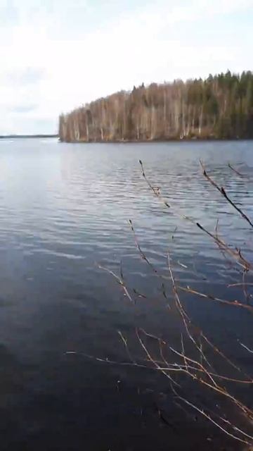 20170514 1714001 смотреть онлайн