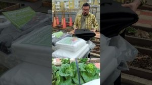 Чем застелить садовый участок, чтобы не росли сорняки?