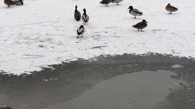 Весна 28 апреля 2014 смотреть онлайн