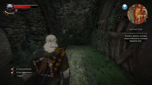 The Witcher 3: Wild Hunt - Смертные грехи 2 смотреть онлайн