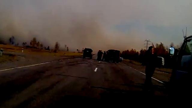 Пожар в лесу смотреть онлайн