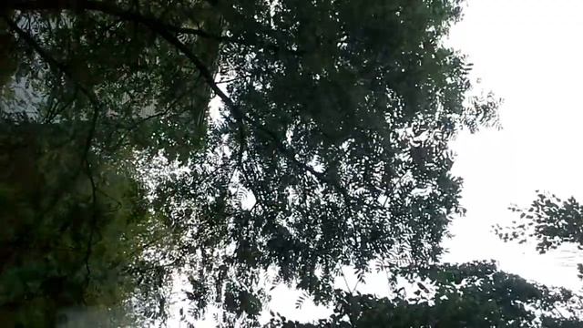 Сильный ветер в Нижнем Новгороде. смотреть онлайн