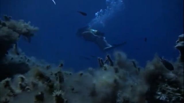 Woman Scuba Diving 1960