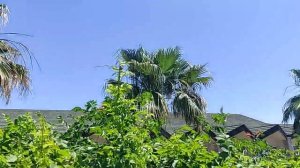 Водный мир отеля в Турции, отель Добедан (Dobedan World Palace).