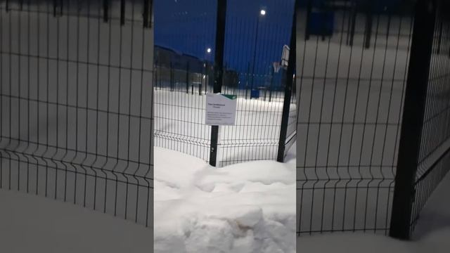 Локации для игры в футбол и баскетбол, прокат лыж. Человекоориентированная инфраструктура Тарко-Сал смотреть онлайн