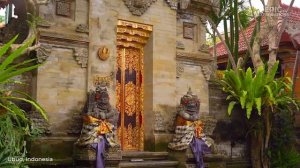 МЕСТА на ЗЕМЛЕ | Самые красивые места на Земле | Лесные царства и живописные виды | ПОЛНЫЙ ВЫПУСК