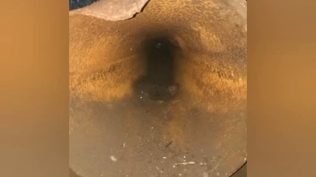 эх лето, лето пора копа ⛏️⚒️😎💪 смотреть онлайн