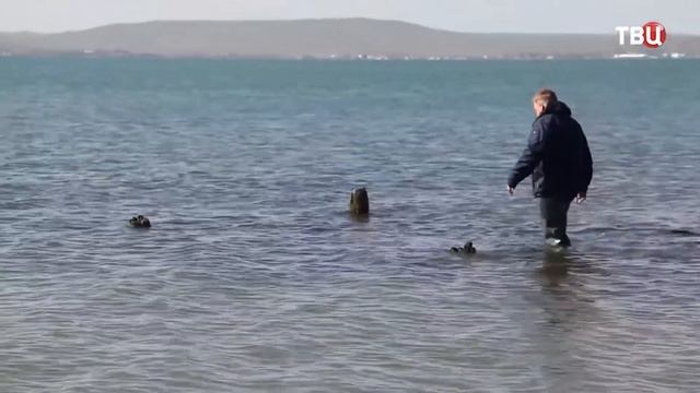 История места Керченского моста смотреть онлайн