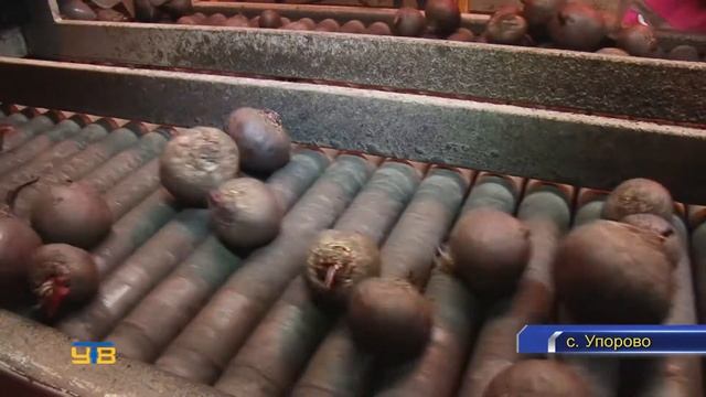 В агрофирме «КРиММ» ежедневно реализуют триста тонн овощей смотреть онлайн