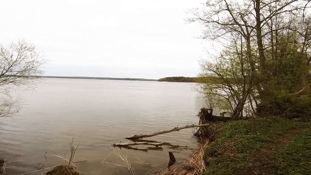 роминта. велобайдарочный поход в краснолесье смотреть онлайн